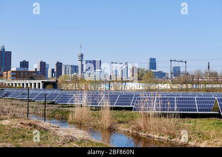 Un campo con pannelli solari con sullo sfondo lo skyline della città olandese l'Aia. Foto Stock