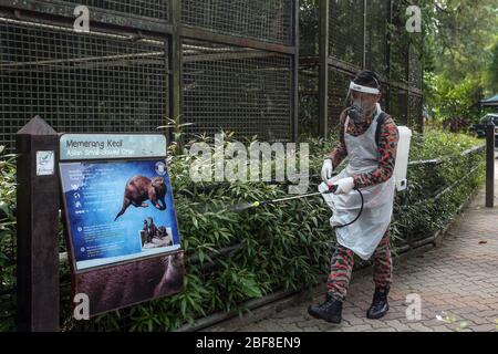 Kuala Lumpur, Malesia. 17 Aprile 2020. Malese Fire and Rescue Department disinfettare le aree dello Zoo Nazionale di Kuala Lumpur, Malesia. Aprile 17, 2020. Il governo malese ha emesso un ordine di movimento limitato al pubblico per il resto del mese per contribuire a frenare la diffusione del nuovo coronavirus. (Foto di Zulfadhli Zaki/Pacific Press) Credit: Pacific Press Agency/Alamy Live News Foto Stock