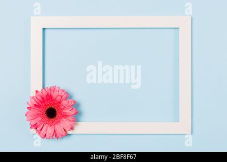 Bianco cornice vuota immagine con fiore rosa in angolo su sfondo azzurro . Spazio libero per la copia del testo. Concetto di carta di vacanza. Mock up Foto Stock