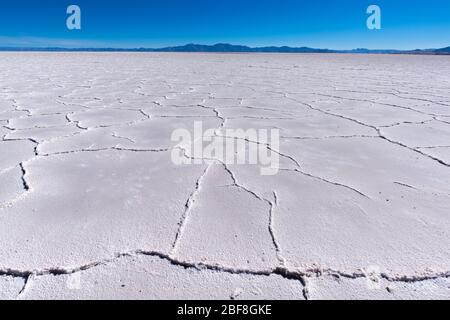 Salinas Grandes lungo la N52, ad est di Susques, regione di Puna, alta quota (3400 m) Ande montagne, Argentine, America Latina Foto Stock