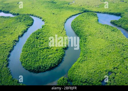 Veduta aerea della foresta pluviale amazzonica in Brasile, Sud America. Verde foresta. Vista dall'alto. Foto Stock