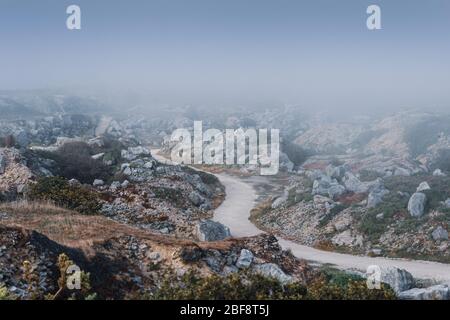 Vista atmosferica che si affaccia su un deserte parco di sculture di Tout Quarry e riserva naturale in un pomeriggio estivo foggy, Isle of Portland, Dorest, UK Foto Stock