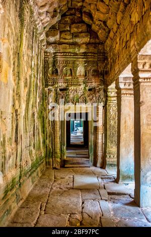 Ta Prohm tempio, Siem Reap, Cambogia Foto Stock