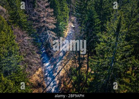 Vista aerea - strada nell'area dell'albero e del campo. Table montagne. Bel colore - primavera. Foto Stock