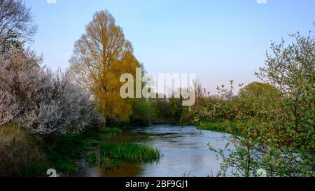 Exton, Regno Unito - 10 aprile 2020: Tramonto sulla Old Winchester Hill da vicino Exton on the River Meon, South Downs National Park, Regno Unito Foto Stock