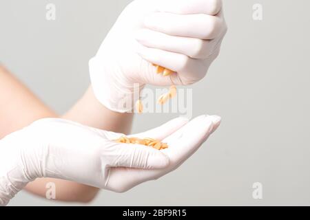 Fagioli di cera in mani di cosmetologist su sfondo bianco, primo piano. Foto Stock