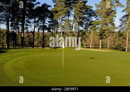 Vista del 2 ° Green e Bunker, Camberley Heath Golf Club, Camberley, Surrey, Inghilterra Foto Stock