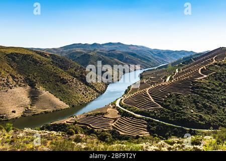 Fiume Douro accanto alla foce del fiume COA. Comune di Vila Nova de Foz Côa. Regione del Douro. Foto Stock