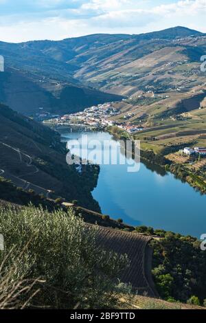 Vista sui vigneti terrazzati nella valle del Douro e sul fiume vicino al villaggio di Pinhao, Portogallo. Concetto per viaggiare in Portogallo e più bella p Foto Stock