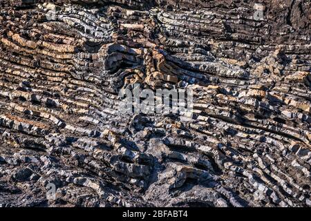 Rocce vulcaniche sulla spiaggia a Poley Bay, Penisola di Coromandel, Regione di Waikato, Isola del Nord, Nuova Zelanda Foto Stock