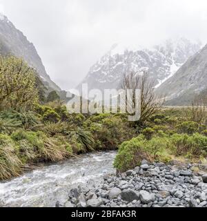 Piccolo ruscello di torrente scimmia nella valle di montagna, girato in luce nuvolosa al Parco di Fiordland, Southland, South Island, Nuova Zelanda Foto Stock