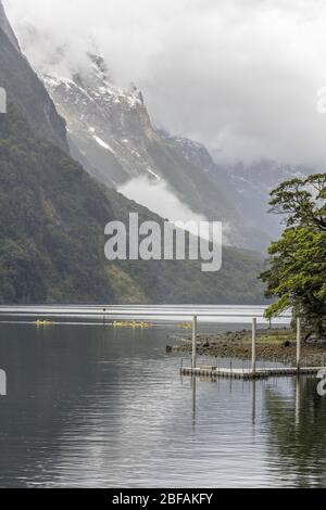 MILFORD SOUND, NUOVA ZELANDA - Novembre 21 2019: Paesaggio con flotilla kayak pagaiare in fiordo sotto nuvole basse in località turistica, girato in luminoso Foto Stock