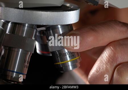 Lo studente di scienza regola un microscopio per analizzare i campioni biologici. Foto Stock