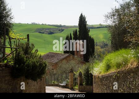 Landschaft um San Giovanni dAsso, Toskana, Italien Foto Stock