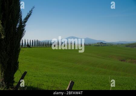 Landschaft um San Giovanni dAsso, Toskana, Italien Foto Stock