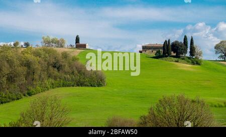 Landschaft um San Giovanni dAsso, Toskana, Italien Foto Stock