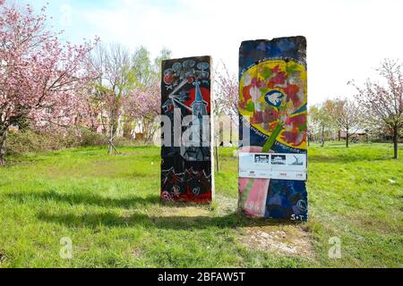 TV-Asahi-Kirschblütenallee (TV Asahi Cherry Blossom Alley) è un tratto di ex striscia di morte del muro di Berlino, dotato dopo la riunificazione tedesca. Foto Stock