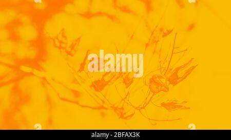 Foglie di autunno secco di colore arancio sul ramo, senape gialla tonificata. formato panoramico 16:9 Foto Stock