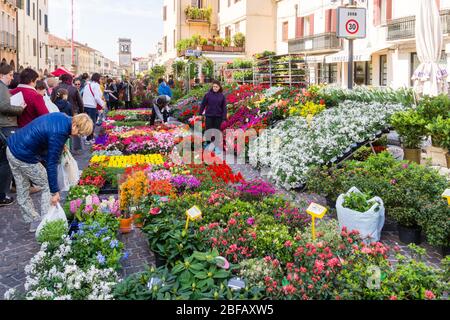 Blumenfest a Este, Provinz Padova, Veneto, Italien, Europa Foto Stock