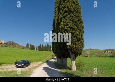 Landschaft um San Giovanni dAsso, Toskana, Italien Foto Stock