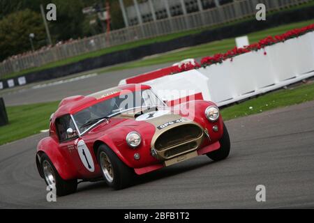 2010 GOODWOOD Revival - chicane azione nella gara di festa del Tourist Trophy per le vetture 1960-1964 GT Foto Stock