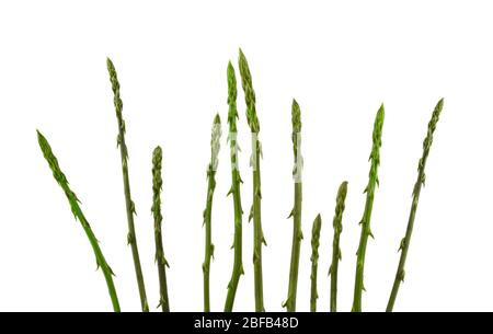 Gambi di asparagi selvatici isolati su sfondo bianco Foto Stock