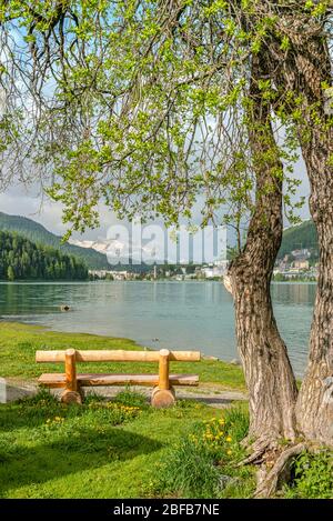 Lone e panca di legno vuota al lago St.Moritz in primavera, alta Engadina, Grigioni, Svizzera Foto Stock