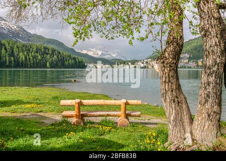 Lone e panca di legno vuota al lago St.Moritz in primavera, alta Engadina, Grigioni, Svizzera Foto Stock