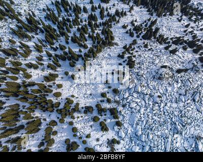 Mattina in montagna. Vista dall'alto su abete rosso e pietre coperte di neve Foto Stock