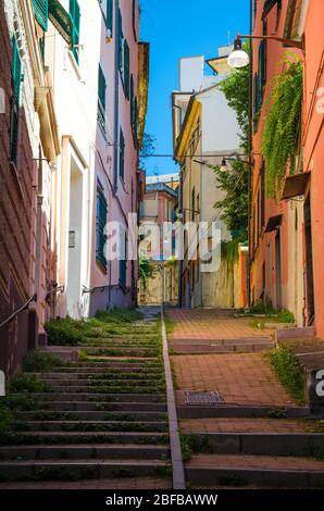 Scalinata tra edifici multicolori con pareti colorate e piante verdi su una strada stretta nel quartiere antico del centro storico della città europea Gen Foto Stock