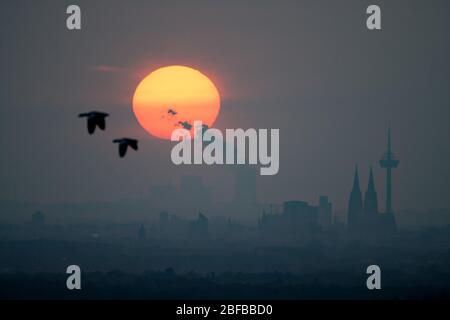 Colonia, Germania. 17 Aprile 2020. Il sole tramonta dietro lo skyline di Colonia. Sullo sfondo si può vedere la centrale elettrica lignite Niederaussem. Credit: Henning Kaiser/dpa/Alamy Live News Foto Stock