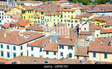 Veduta aerea di Piazza dell'Anfiteatro nel centro storico della città medievale di Lucca, antichi edifici con tetti in cotto, Toscana, Ital Foto Stock