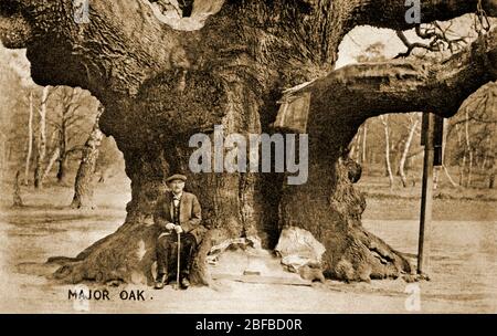 Foto d'epoca di un Signore anziano seduto sotto un grande albero di quercia, dal titolo "quercia maggiore". Foto Stock