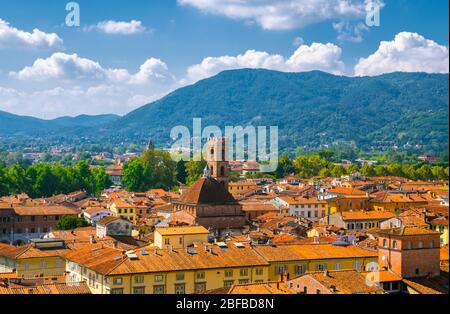 Veduta panoramica aerea della Chiesa dei Santi Giovanni e Reparata Chiesa cattolica nel centro storico borgo medievale di Lucca con tetti in cotto Foto Stock