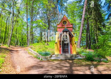 Cappella di Ecce Homo nella foresta di Slavkov, faggi con foglie verdi su rami in fitta vegetazione vicino Karlovy Vary (Carlsbad) città, West BOH Foto Stock
