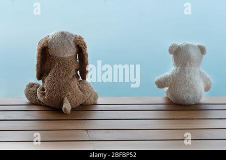 due soffice cane marrone e bambola di orso bianco seduto su terrazza in legno con acqua blu natura in concetto di distanza sociale Foto Stock