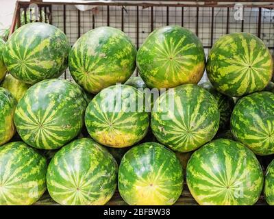 Molti grandi anguria verde dolce che giacciono in fila Foto Stock