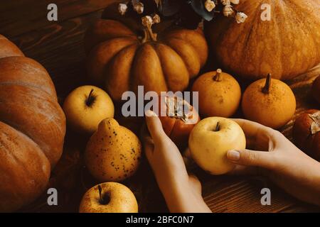 Un mazzo di zucche e mele. Raccolto o Thanksgiving sfondo con frutti autunnali e zucche su rustico tavolo di legno. Foto Stock