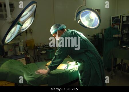 Il chirurgo ospedaliero guarda le note del paziente prima dell'intervento chirurgico Foto Stock