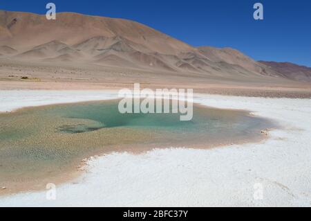 Bellissime lagune turchesi nelle vicine saline Tolar Grande. Salta, Argentina Foto Stock