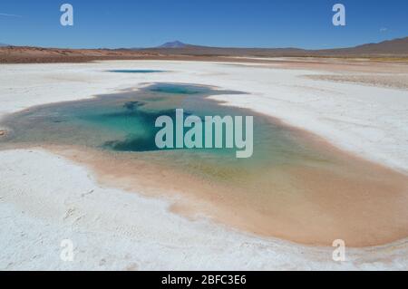 Bellissime lagune turchesi nelle vicine saline Tolar Grande. Salta, Argentina Foto Stock