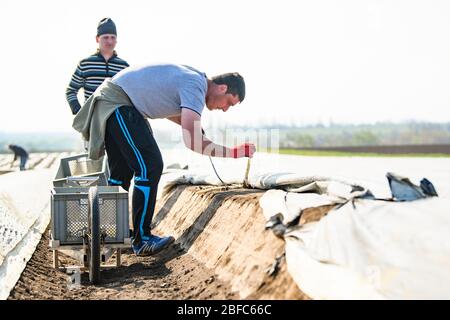 Kutzleben, Germania. 17 Aprile 2020. I soccorritori raccolgono asparagi in un'azienda agricola di Kutzleben, nello stato della Turingia, Germania, 17 aprile 2020. Nonostante le restrizioni di viaggio per combattere il COVID-19, il governo tedesco ha permesso ai lavoratori stranieri di entrare nel paese come aiutanti del raccolto per frutta e verdura in aprile e maggio. Credit: Kevin Voigt/Xinhua/Alamy Live News Foto Stock