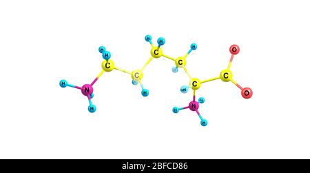 La lisina è un amminoacido essenziale, la lisina è una base, così come l'arginina e l'istidina. Foto Stock