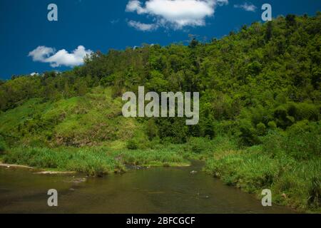 Puente Roto, Ciales-Morovis, PR Foto Stock