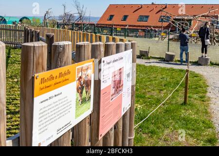 ZOO, Tábor, Jižní Čechy, Česká republika / giardino zoologico, città Tabor, regione Boemia del Sud, repubblica Ceca Foto Stock