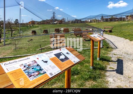 ZOO, Tábor, Jižní Čechy, Česká republika / giardino zoologico, città Tabor, regione Boemia del Sud, repubblica Ceca Foto Stock