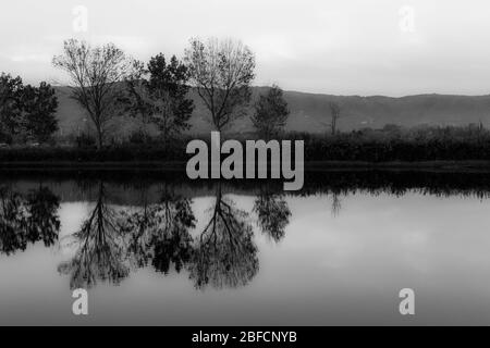 Una vista perfettamente simmetrica di un lago, con alberi riflessi sull'acqua Foto Stock