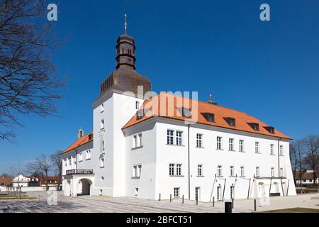 zámek, Dolní Břežany, Praha, Ceska republika / castello, Dolni Brezany vicino Praga, Repubblica Ceca Foto Stock