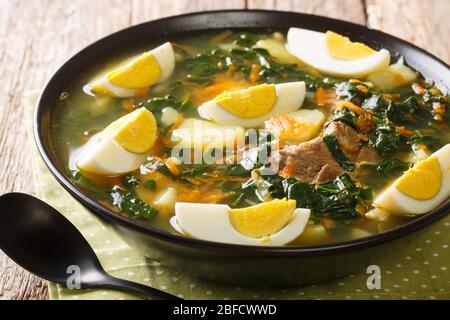 Zuppa calda ricca con carne, spinaci, verdure e uova da vicino in una ciotola sul tavolo. Orizzontale Foto Stock