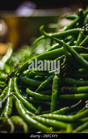 Peperoncino verde in vendita al mercato stradale. Il verde Chilis appena sfornato all'azienda agricola. Mercato dei prodotti freschi con vista ravvicinata del mucchio di ch verde Foto Stock